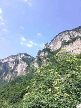 山