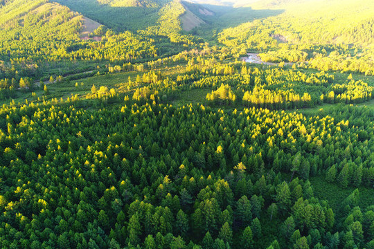航拍山林風(fēng)景