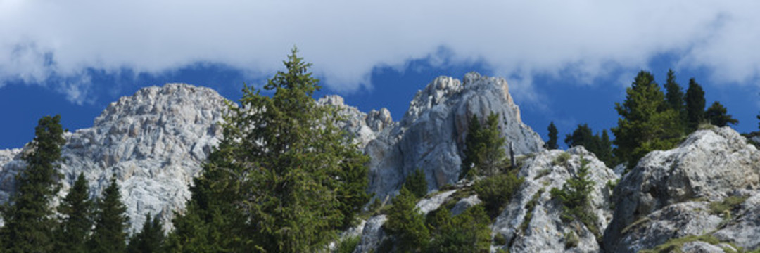 山巒