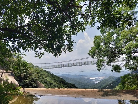 9D聲效玻璃橋