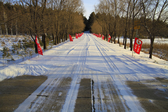 白雪雪景冬天車轍