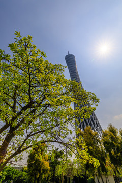 羊城新八景之廣州塔