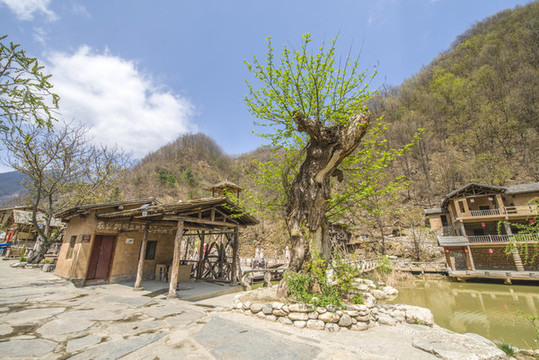 終南山寨