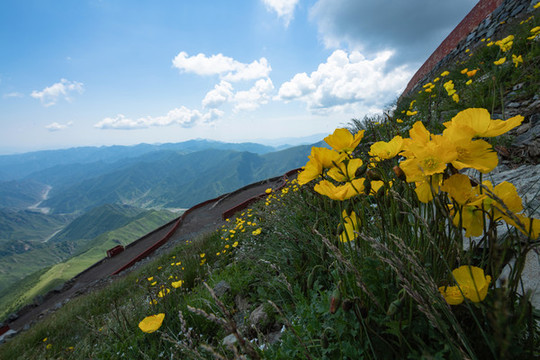 五臺山