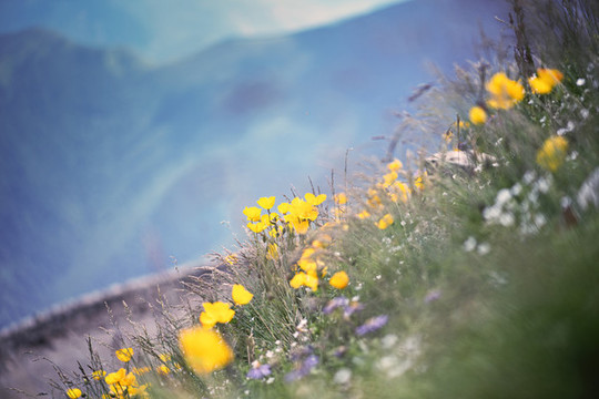 五臺山