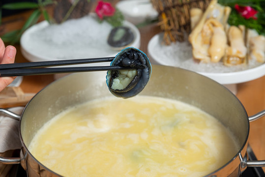 新西蘭藍(lán)鮑魚(yú)