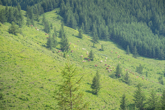 五臺(tái)山