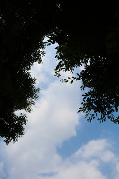 藍天