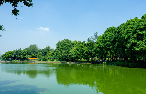 麓湖公園