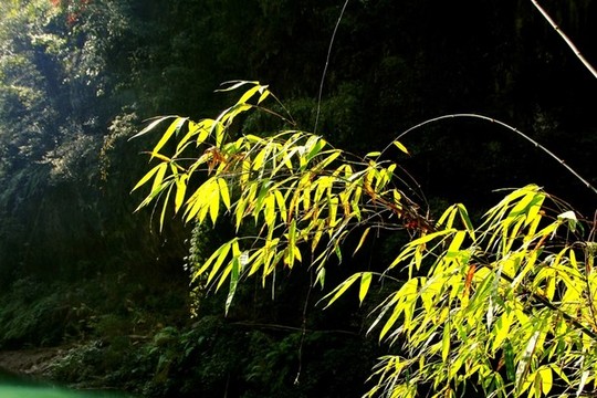 阿依河