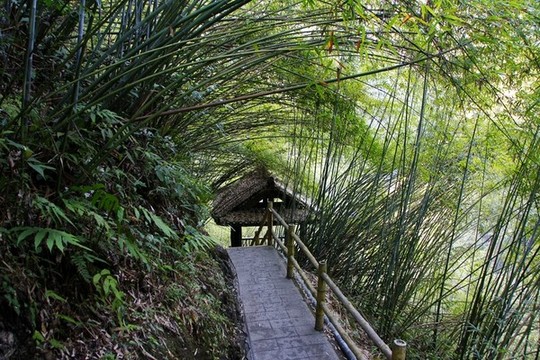 阿依河