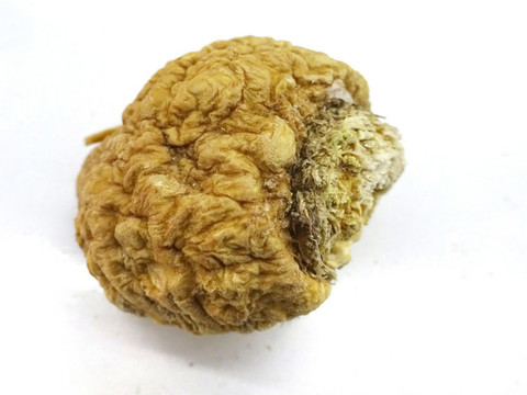 天然偉哥秘魯瑪卡塊莖