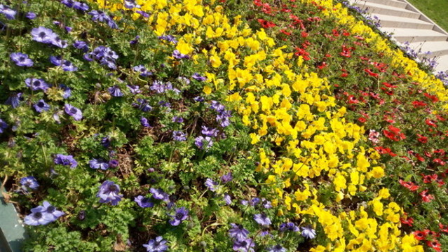 花