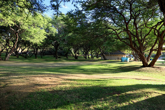 公園草地綠色草地
