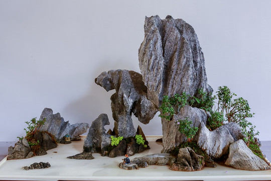 盆景