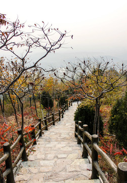 北宮森林公園