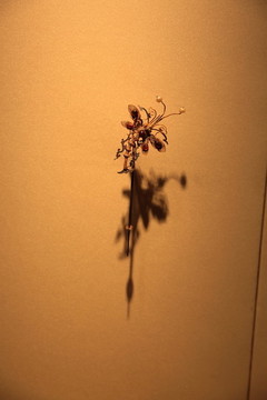 金釵
