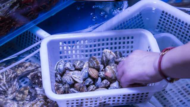挑選海鮮蛤蜊
