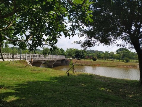 石橋