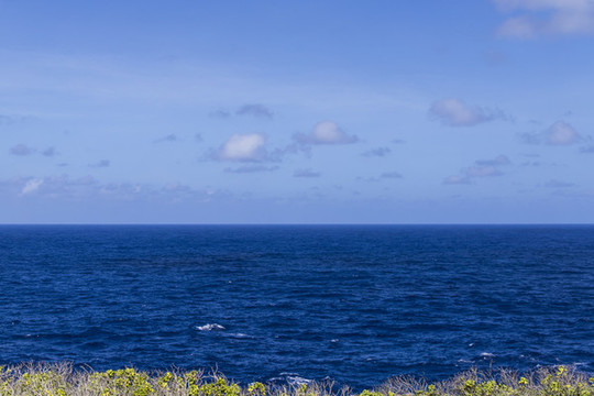 大海