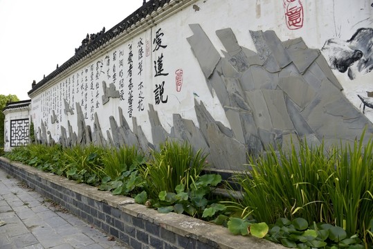 荷花背景墻