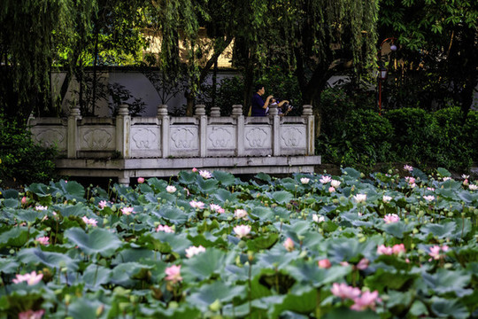 廣州起義烈士陵園
