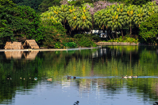 廣州流花湖公園