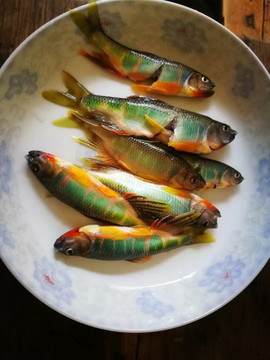 白條