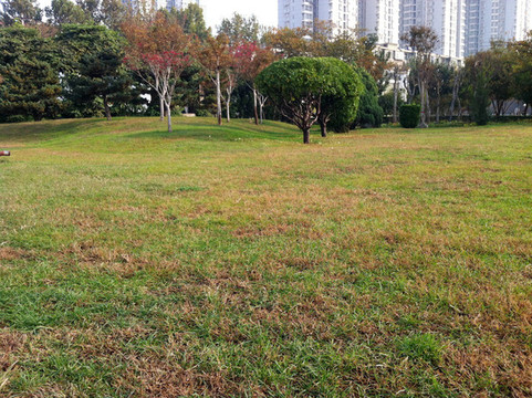 公園綠化