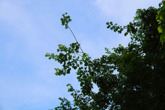 天空云彩
