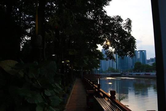 公園小路