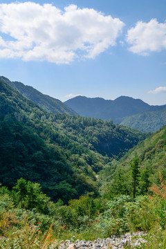 湖北天堂寨國家地質公園夏日風光