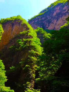 山