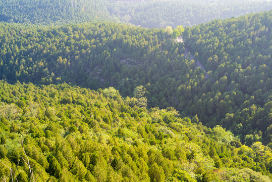 濟南佛慧山03