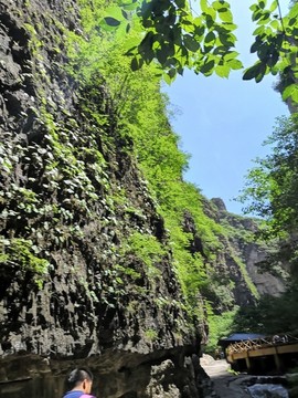 山