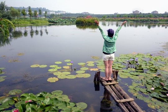 濕地公園