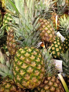 菠蘿