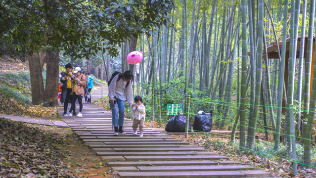 植物園櫻花湖畔游人