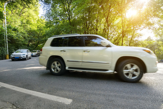 汽車在林蔭大道