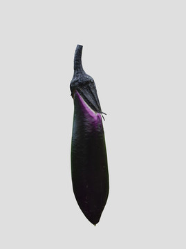茄子素材