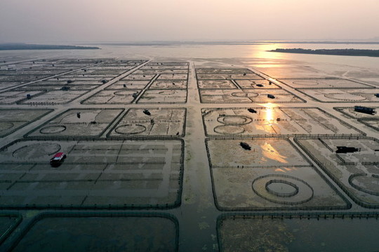 蘇州陽澄湖大閘蟹養(yǎng)殖區(qū)夕陽西下