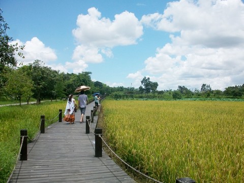 開平碉樓
