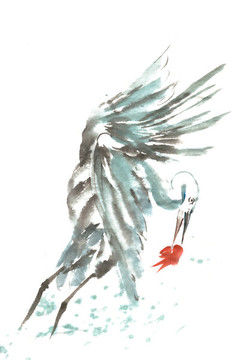 捕魚(yú)的水鳥(niǎo)