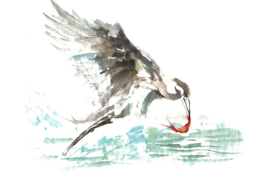飛鳥捕魚