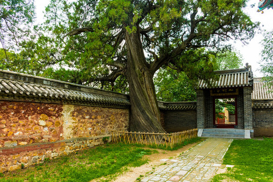 中岳廟