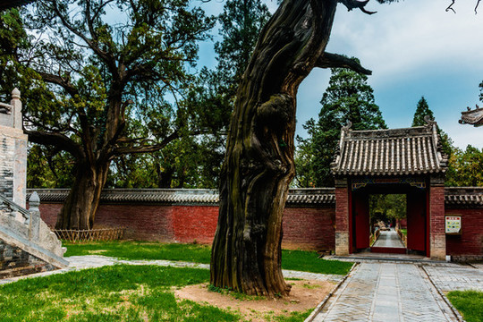 中岳廟