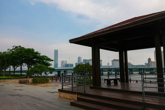 廈門市杏林灣夏日風(fēng)光