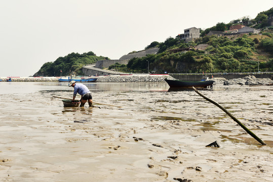趕海