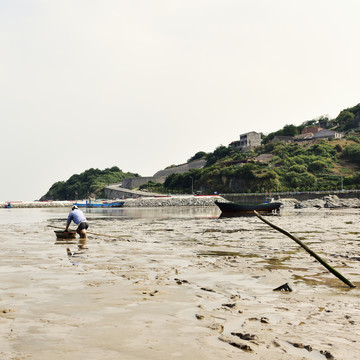 趕海