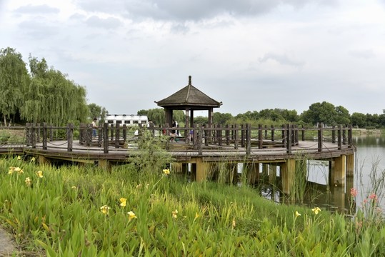 鄉(xiāng)村風(fēng)光